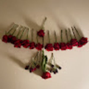 Meet your Posher, Hwajung